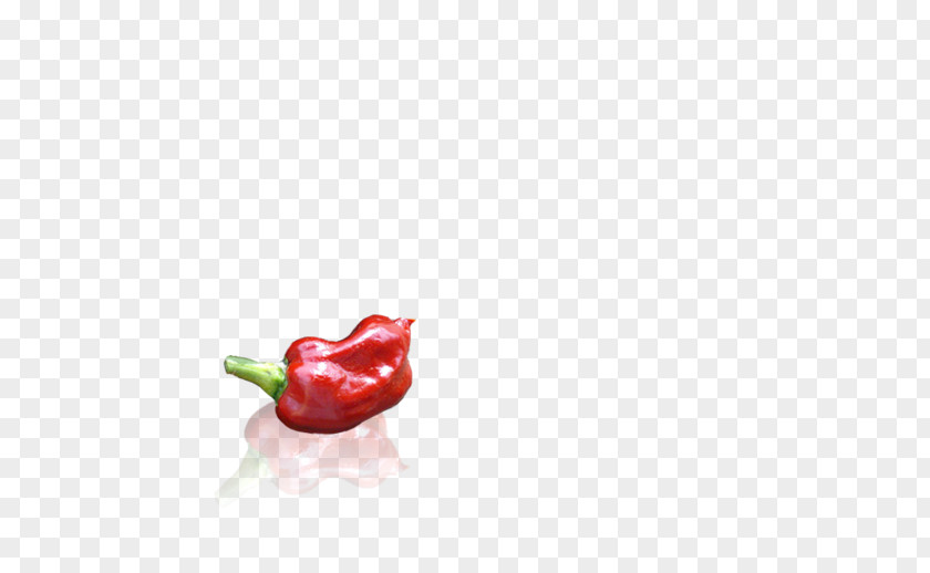 Habanero Piquillo Pepper Capsicum Annuum Var. Acuminatum Serrano Tabasco PNG