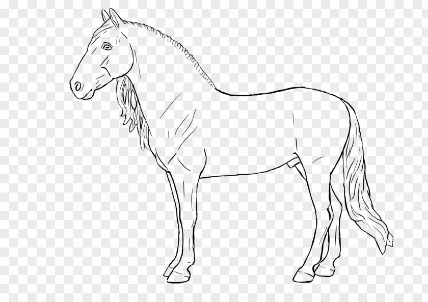 Mustang Mane Foal Bridle Stallion PNG