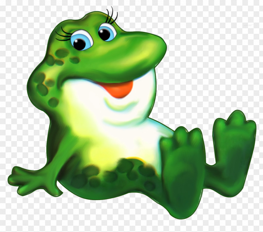 Frog Color Photography Green Adobe Photoshop Image PNG