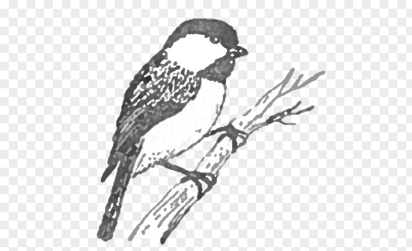 Perching Bird Bobolink Cartoon PNG