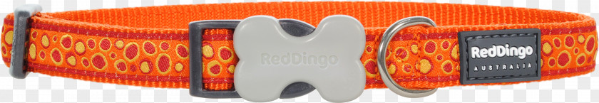 Red Collar Dog Dingo Leash PNG