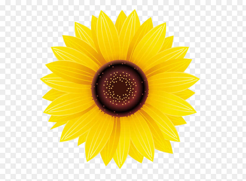 Sunflower Common Sticker Decal Yellow PNG