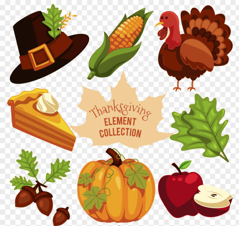 Thanksgiving Decoration Vector Turkey PNG