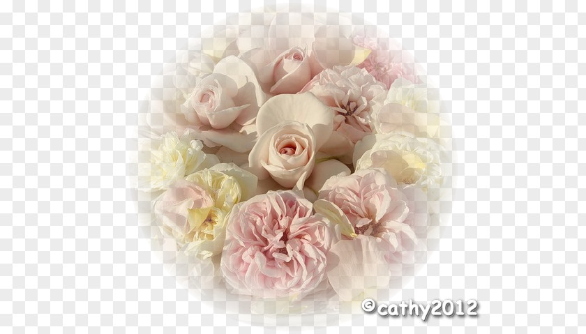 Tubes Roses Garden Cabbage Rose Cut Flowers Flower Bouquet Peony PNG