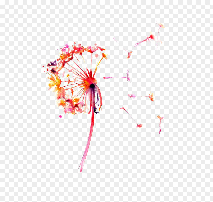 Dandelion Watercolor Painting Drawing Printmaking PNG