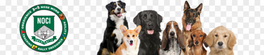 Dog For Your K9, Inc., Chicago Area Training K9 Enrichment Initiative, Inc. Ski Bindings PNG
