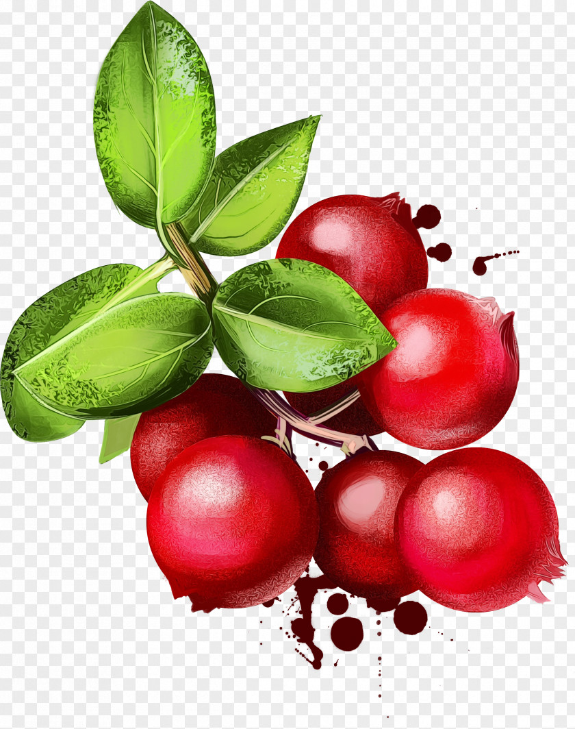 Garcinia Indica Cranberry Juice Lips Cartoon PNG