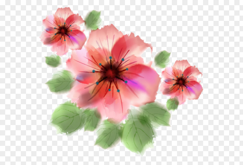 Painting Watercolour Flowers Watercolor PNG