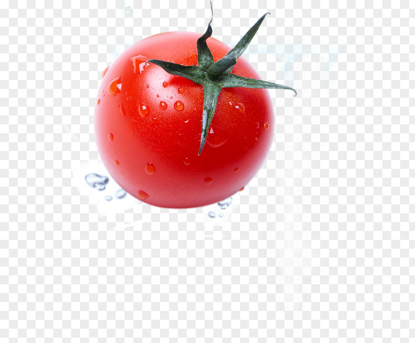 Tomato Plum Auglis Vegetable Food PNG