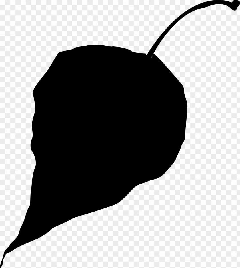 Acorn Leaf Silhouette PNG