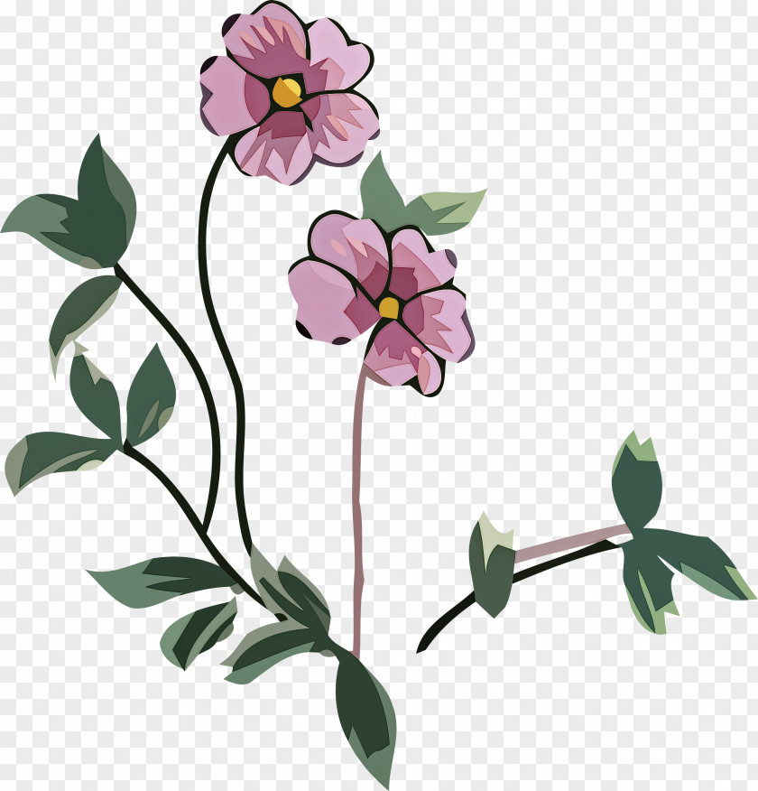 Floral Design PNG