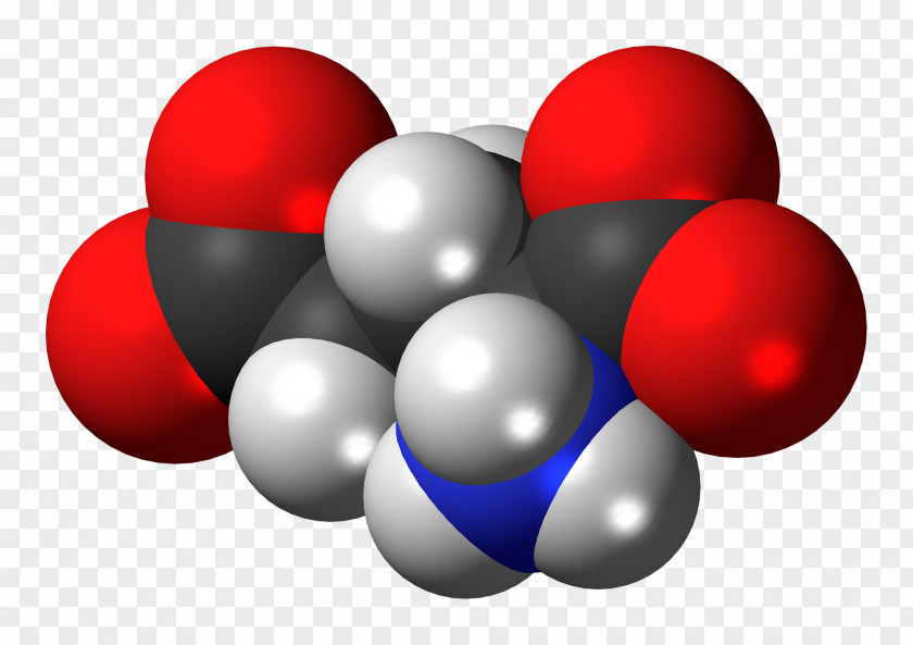 Glutamic Acid Amino Space-filling Model Zwitterion PNG