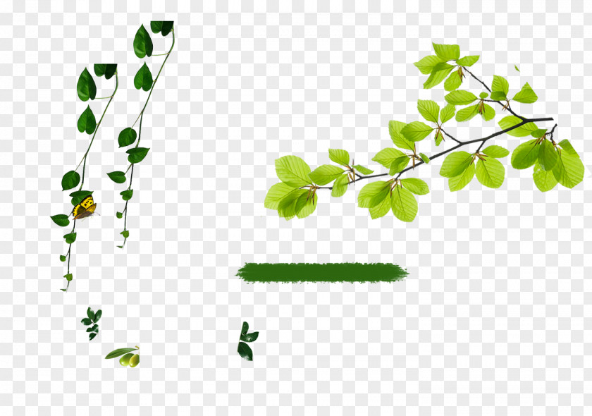 Green Background Advertising Poster Leaf Gratis PNG