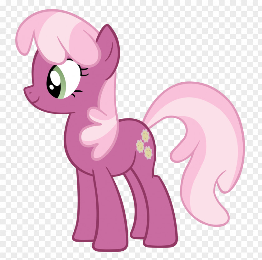 My Little Pony Cheerilee Rarity Applejack Twilight Sparkle PNG