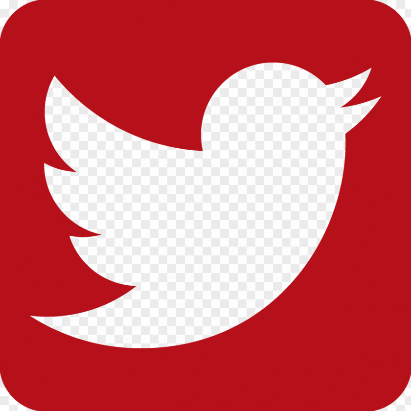 Twitter United States Social Media Gender Digital Marketing Service PNG
