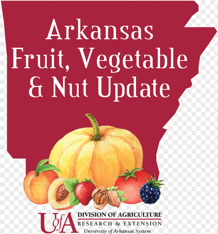 Vegetable Vegetarian Cuisine Fruit Arkansas PNG