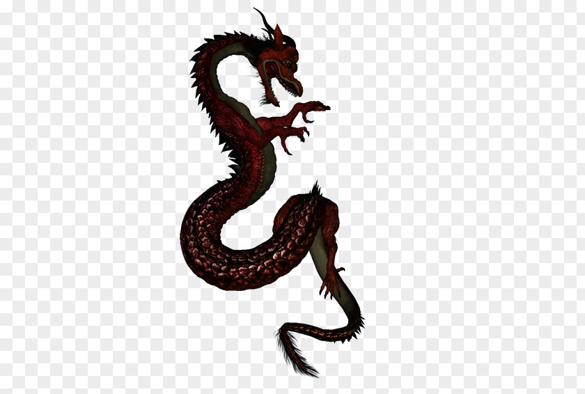 Dragon Royalty-free Vector Graphics Stock Illustration PNG