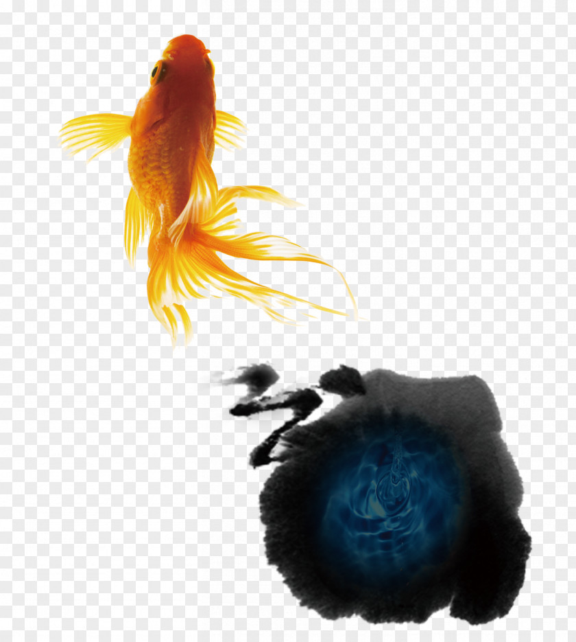 Ink Fish Goldfish Wash Painting Chinese PNG
