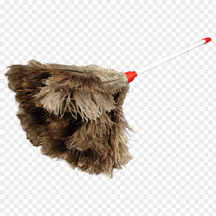 Ostrich Snout Fur PNG