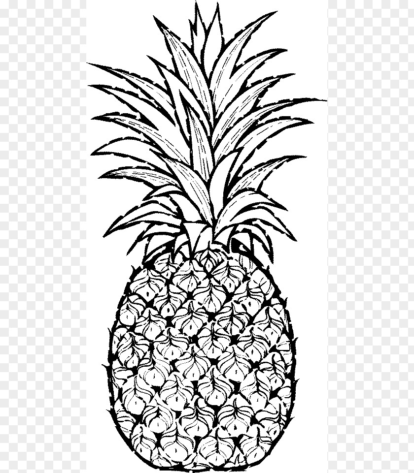 Pineapple Cliparts Drawing Clip Art PNG