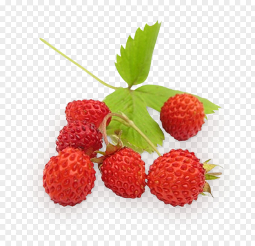 Strawberry Wild Berries Fruit Raspberry PNG