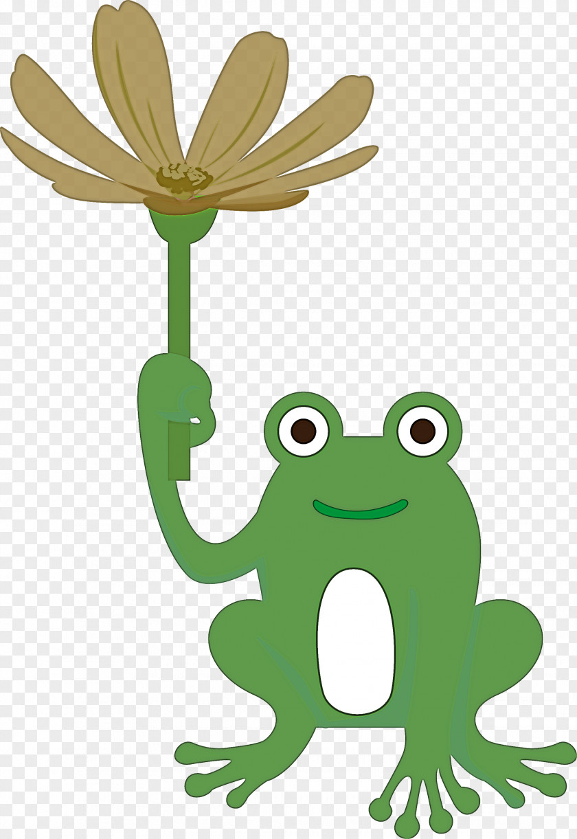 True Frog Toad Frogs Cartoon Tree PNG