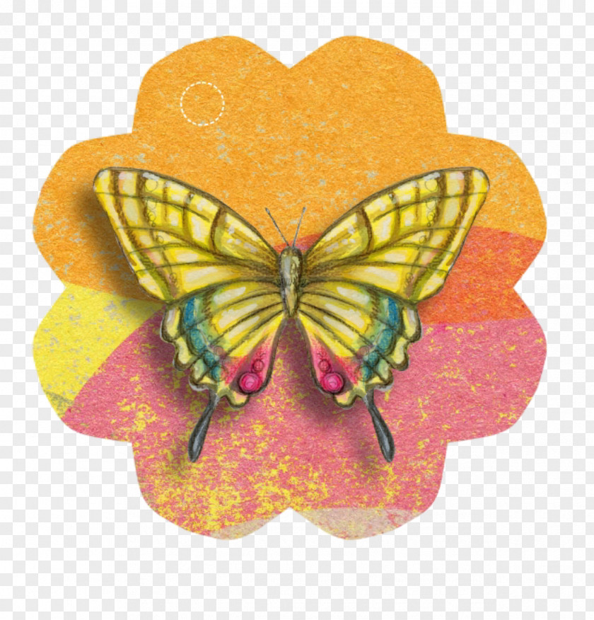 Butterfly Paper Craft Greeting & Note Cards Clip Art PNG