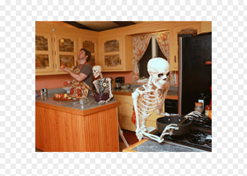 Design Interior Services Decorative Arts Skeleton Halloween PNG