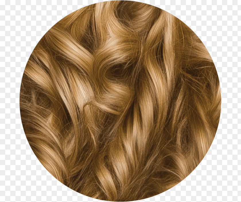 Hair Blond Coloring Herbal Essences Brown PNG