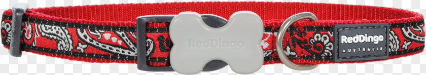 Red Collar Dog Leash Dingo PNG