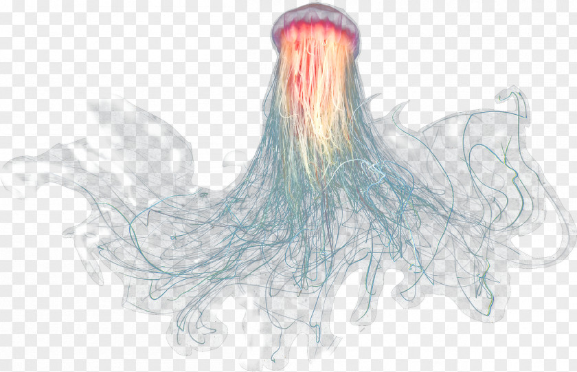 Seabed Jellyfish Sea Oceanic Zone PNG