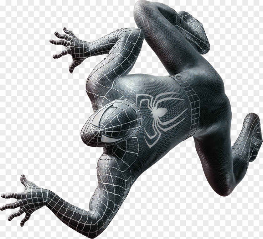 Spider Woman Spider-Man Photography Homo Sapiens Clip Art PNG