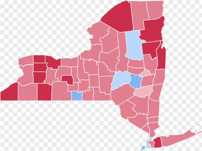 USA New York City Election U.S. State Supreme Court Legislature PNG