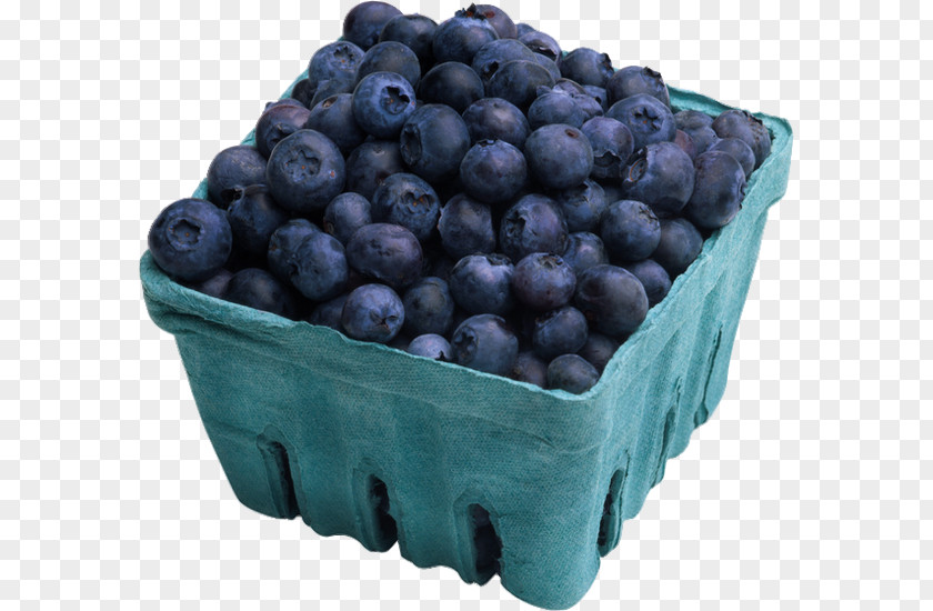 Blueberry Bilberry Cassis Food PNG