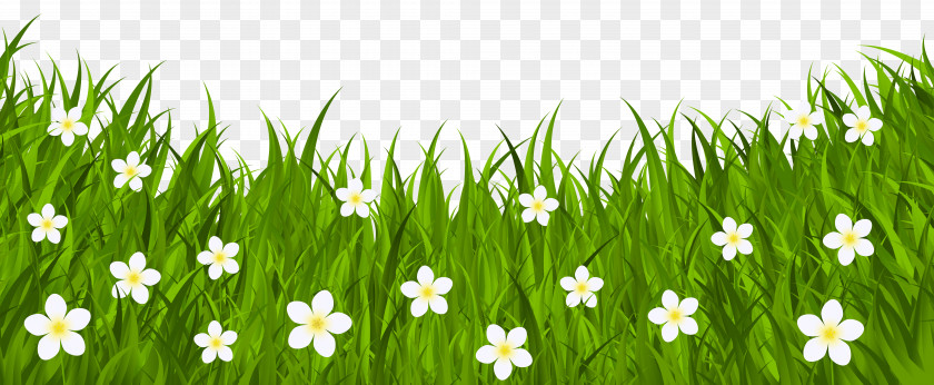 Grass Ground With Flowers Clip Art Image Red Easter Egg PNG