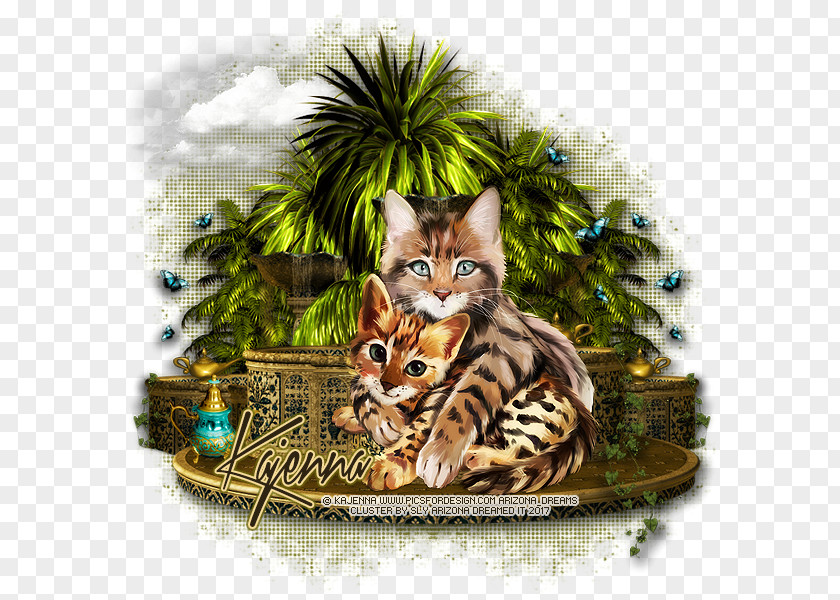 Kitten Bengal Cat Toyger Tabby Wildcat PNG