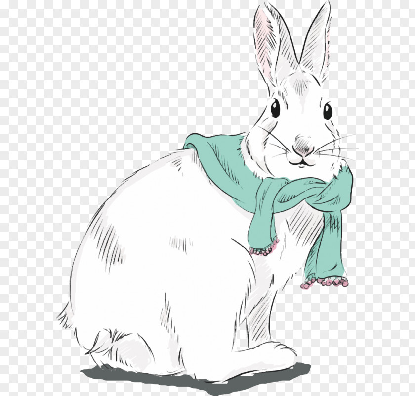 Rabbit Domestic Hare Drawing Clip Art PNG