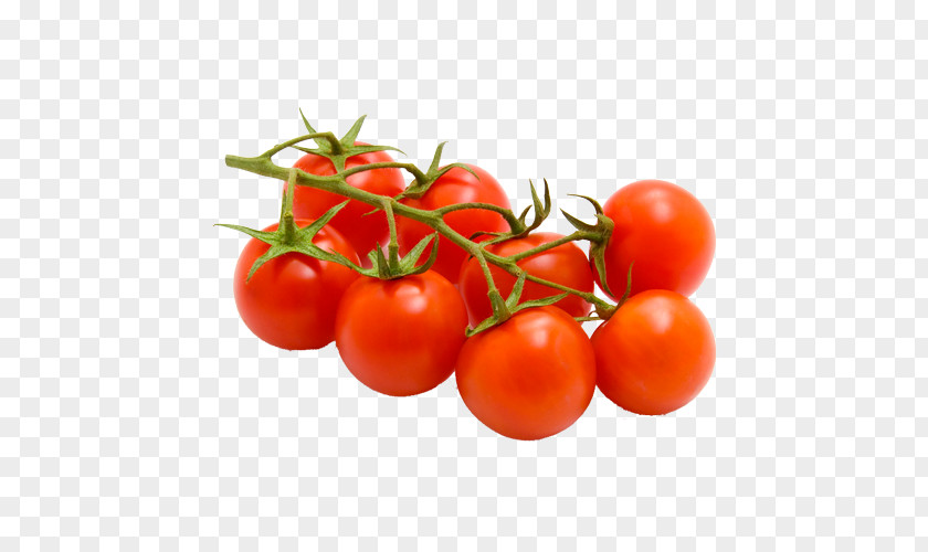 Vegetable Cherry Tomato Bruschetta Fruit Variety Food PNG