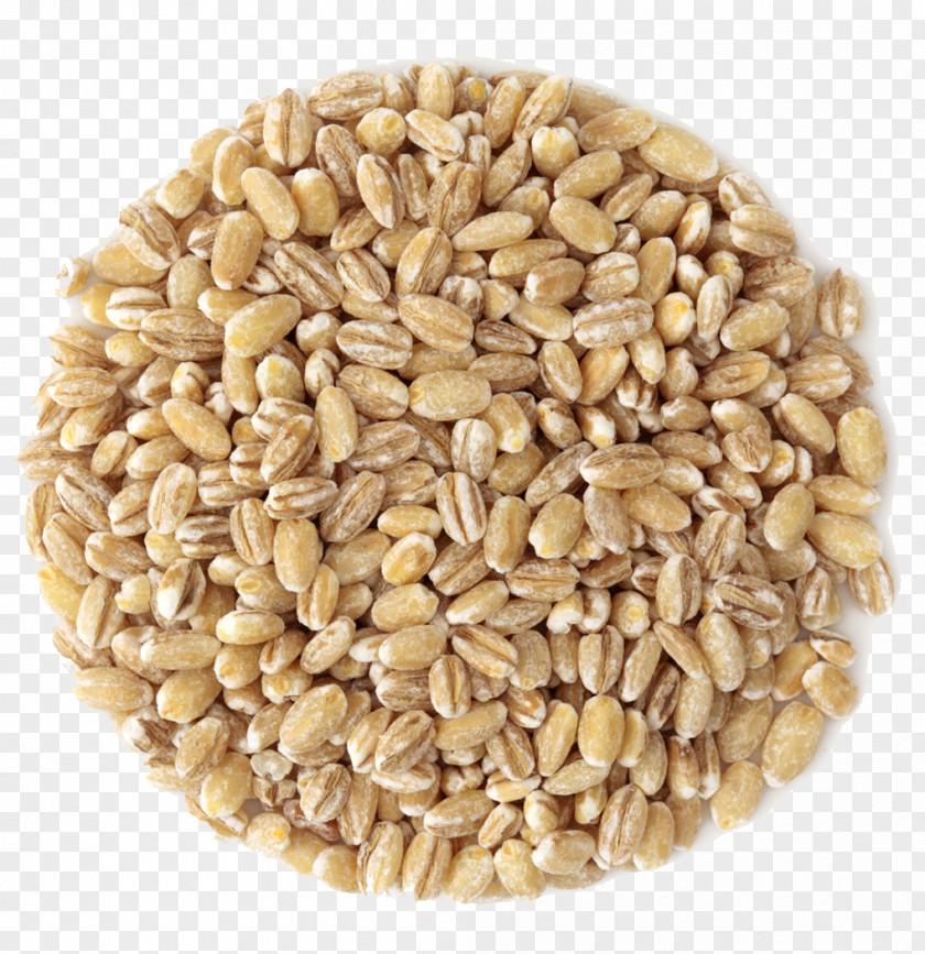 Barley Spelt Breakfast Cereal Whole Grain PNG
