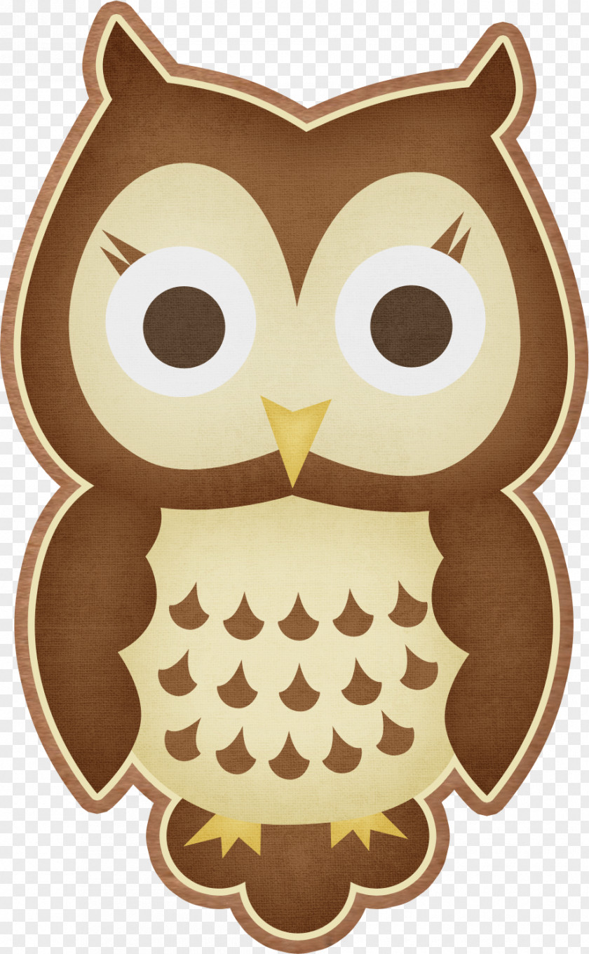 Owls Owl Download Clip Art PNG