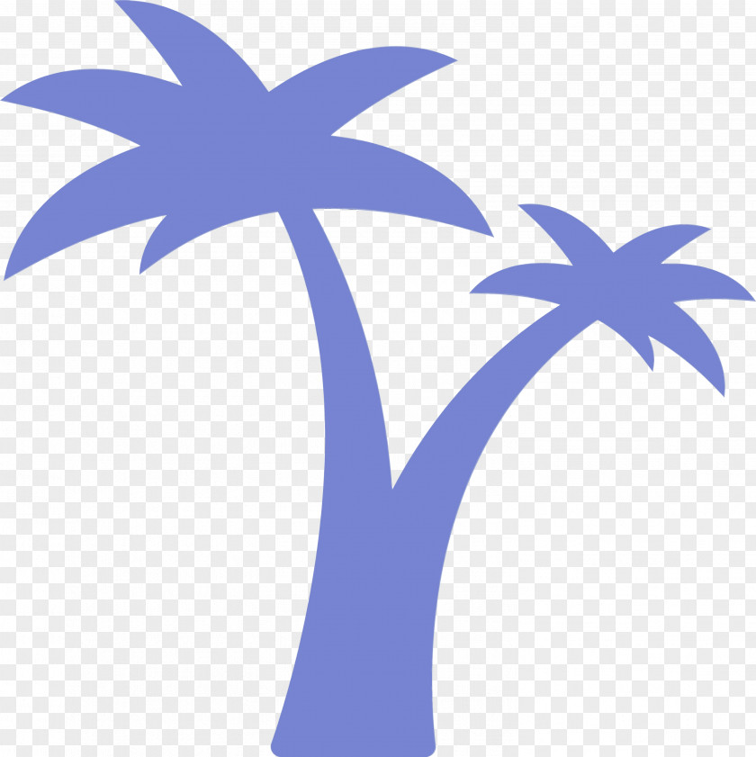 Palm Trees PNG