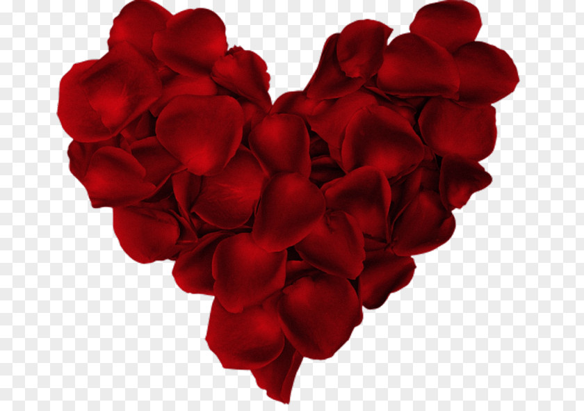 Valentine's Day Love Dwynwen Romance Dia Dos Namorados PNG