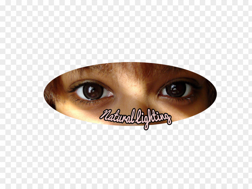 Almond Nose Eyebrow Eyelash Jaw PNG