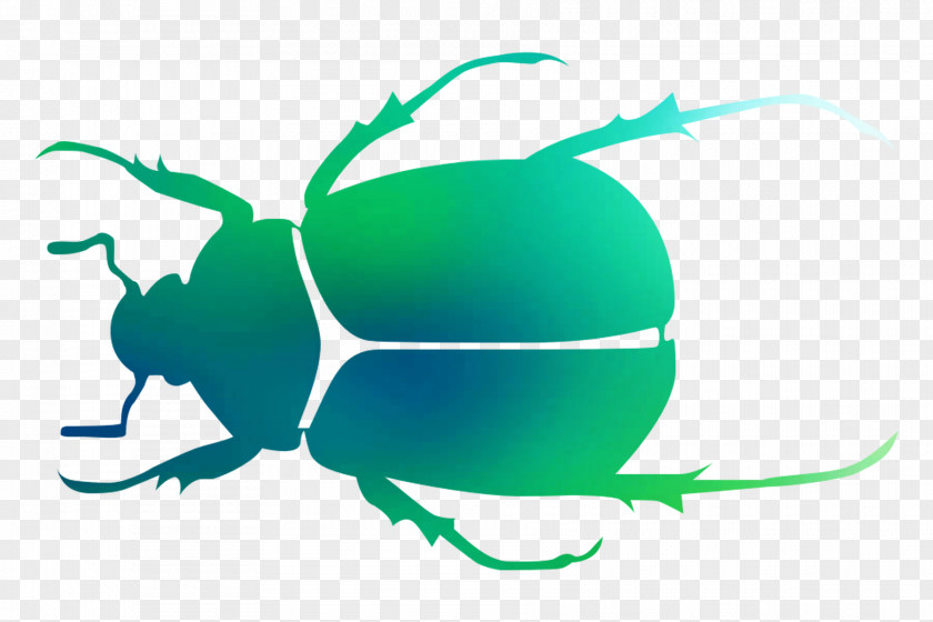 Beetle Clip Art Pollinator Pest Microsoft Azure PNG