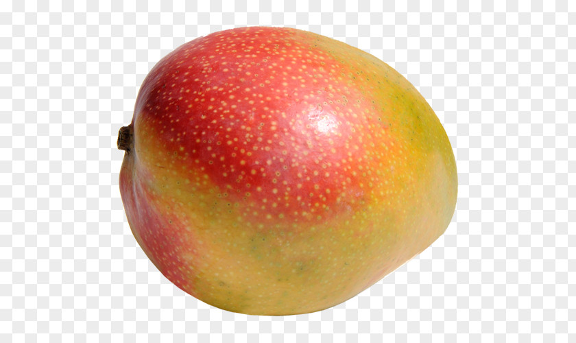 Big Mango Natural Foods Apple PNG