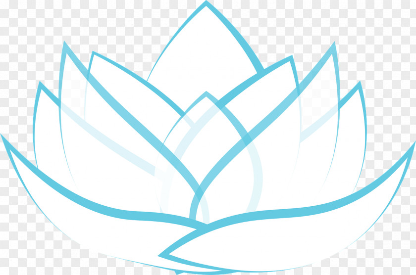 Lotus Nelumbo Nucifera PNG