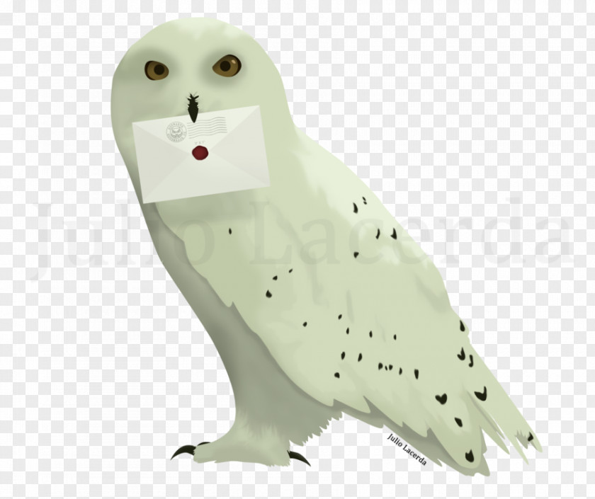 Post It Owl Harry Potter And The Deathly Hallows Hogwarts Hedwig PNG