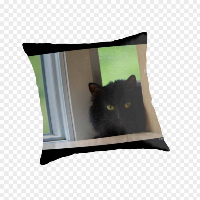 Turkish Angora Whiskers Throw Pillows Cat Cushion PNG