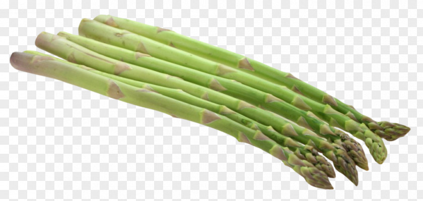 Vegetable Asparagus Clip Art PNG