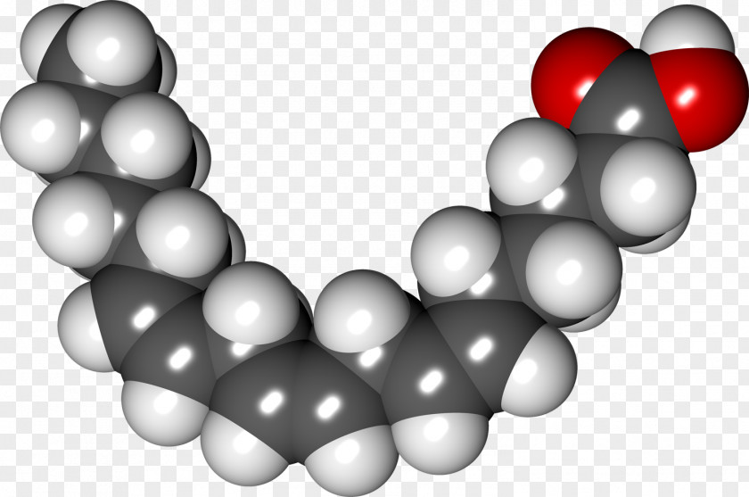 Alpha-Linolenic Acid Fatty Polyunsaturated Fat Gamma-Linolenic PNG